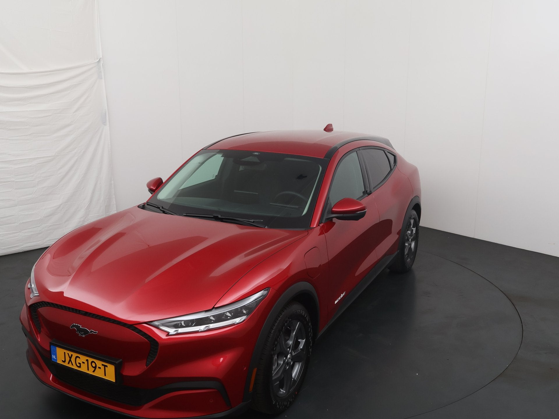 Ford Mustang Mach-E RWD 75 kWh 268 pk | B&O | Adapt. cruise, Achterwielaandrijving, Gebruikt, 75 kWh, 450 min
