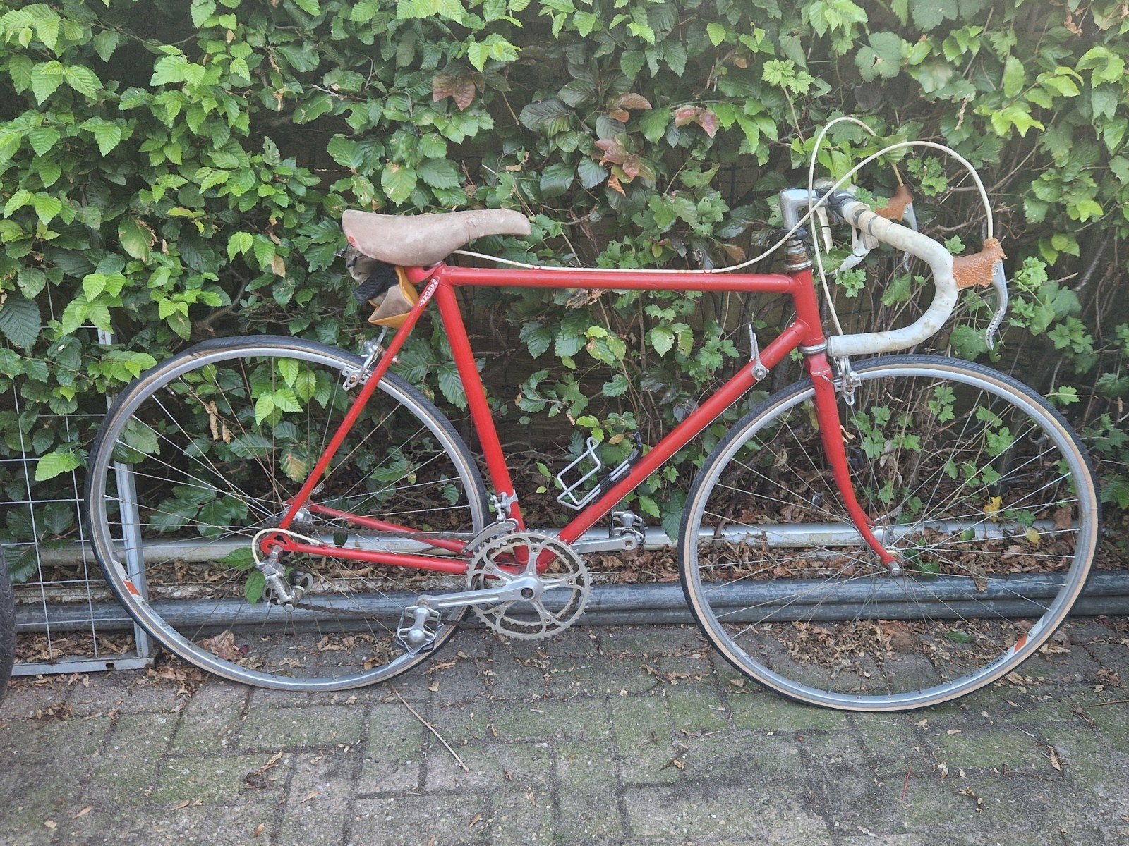 Colnago Saronni 54cm campagnolo/Galli, Gebruikt, Staal, 53 tot 57 cm, Ophalen