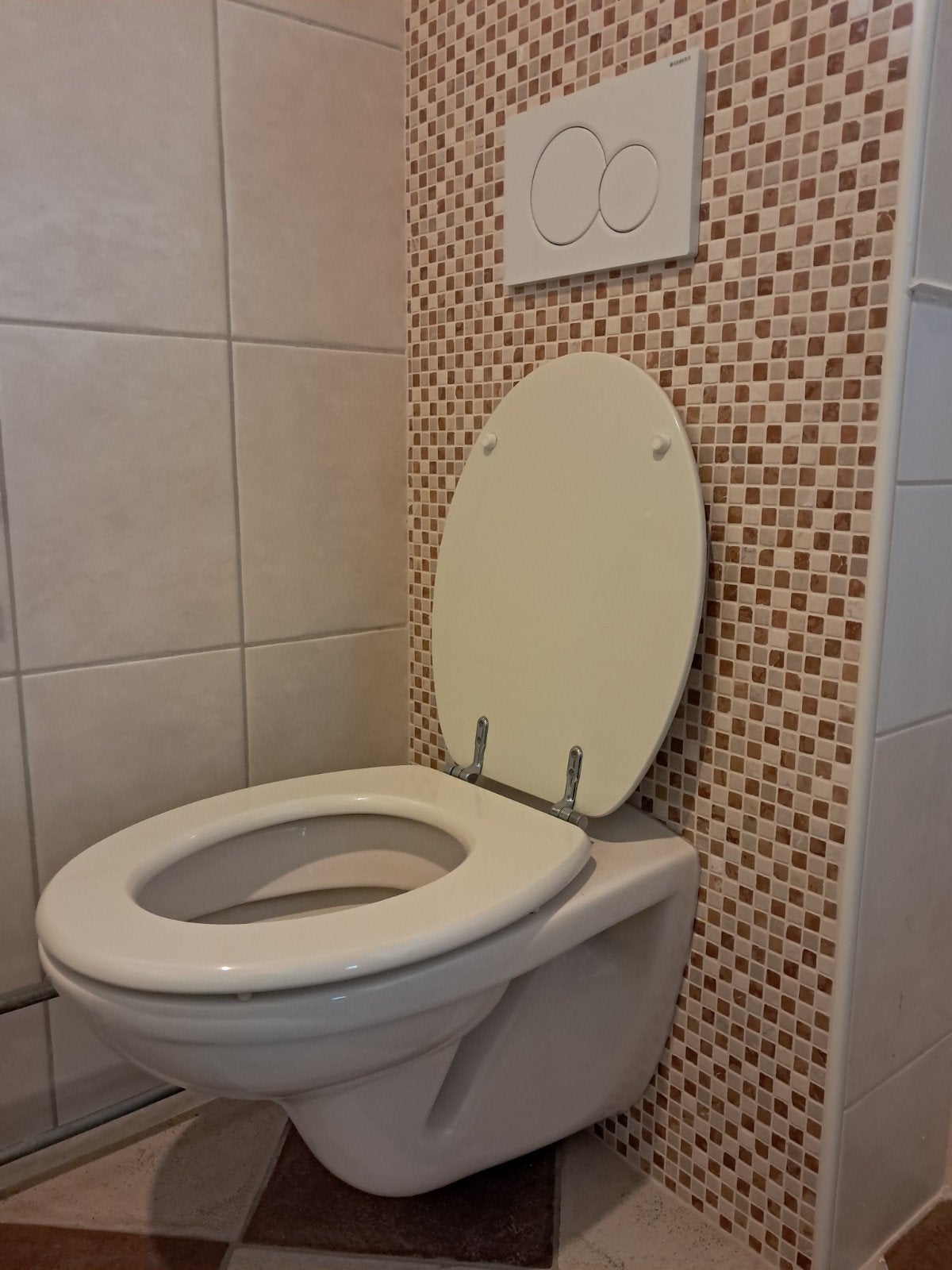 WC met bril, inbouwreservoir en Geberit bedienpaneel, Ophalen, Gebruikt, Toilet