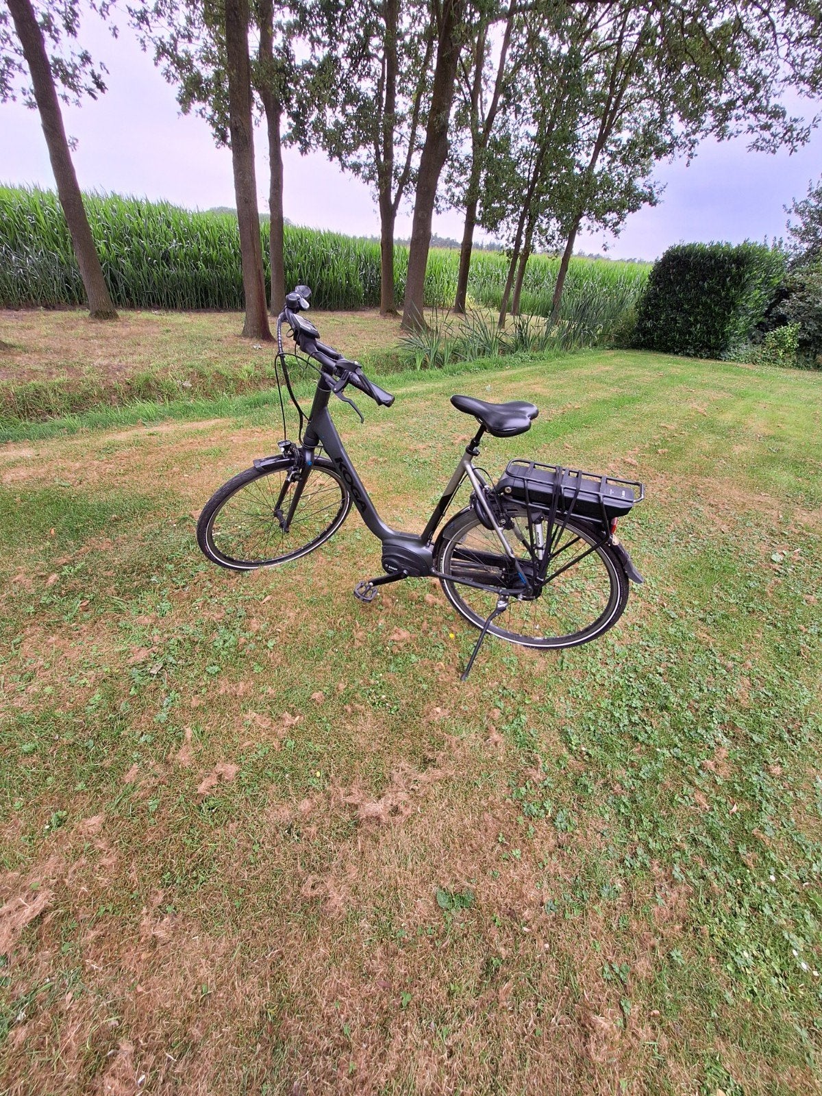 Elektrische Koga Silver Damesfiets, 55 tot 59 cm, Ophalen, Zo goed als nieuw, Overige merken