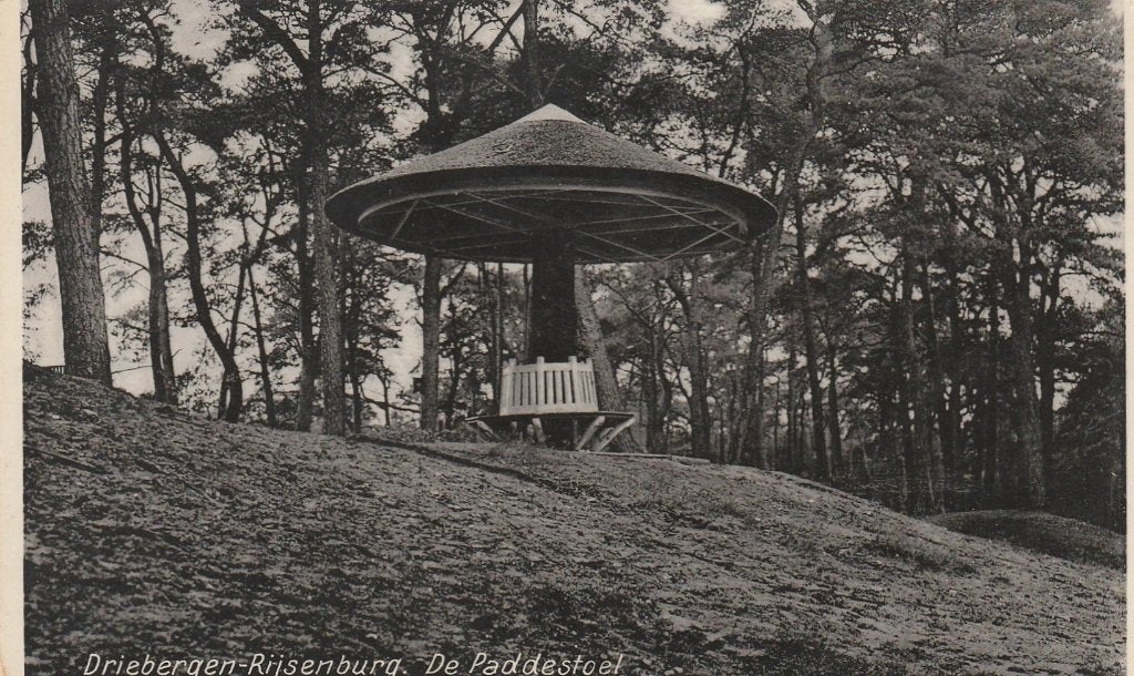 DRIEBERGEN De Paddestoel, Verzenden, 1920 tot 1940, Ongelopen, Utrecht