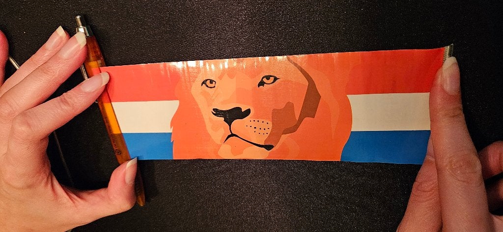 EK voetbal ORANJE in Polen 2012 & leuke uitschuif leeuw/vlag, Ophalen of Verzenden, Zo goed als nieuw, Overige binnenlandse clubs