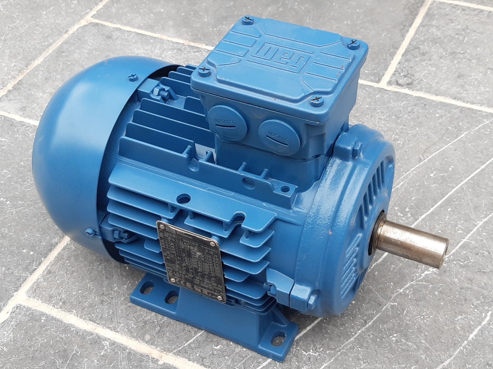 Weg W21 Promlum Elektromotor, Ophalen of Verzenden
