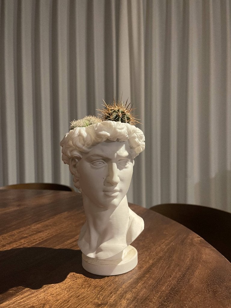 3D geprinte David plantenpot, Tuin en Terras, Ophalen, Kunststof, Rond, Zo goed als nieuw