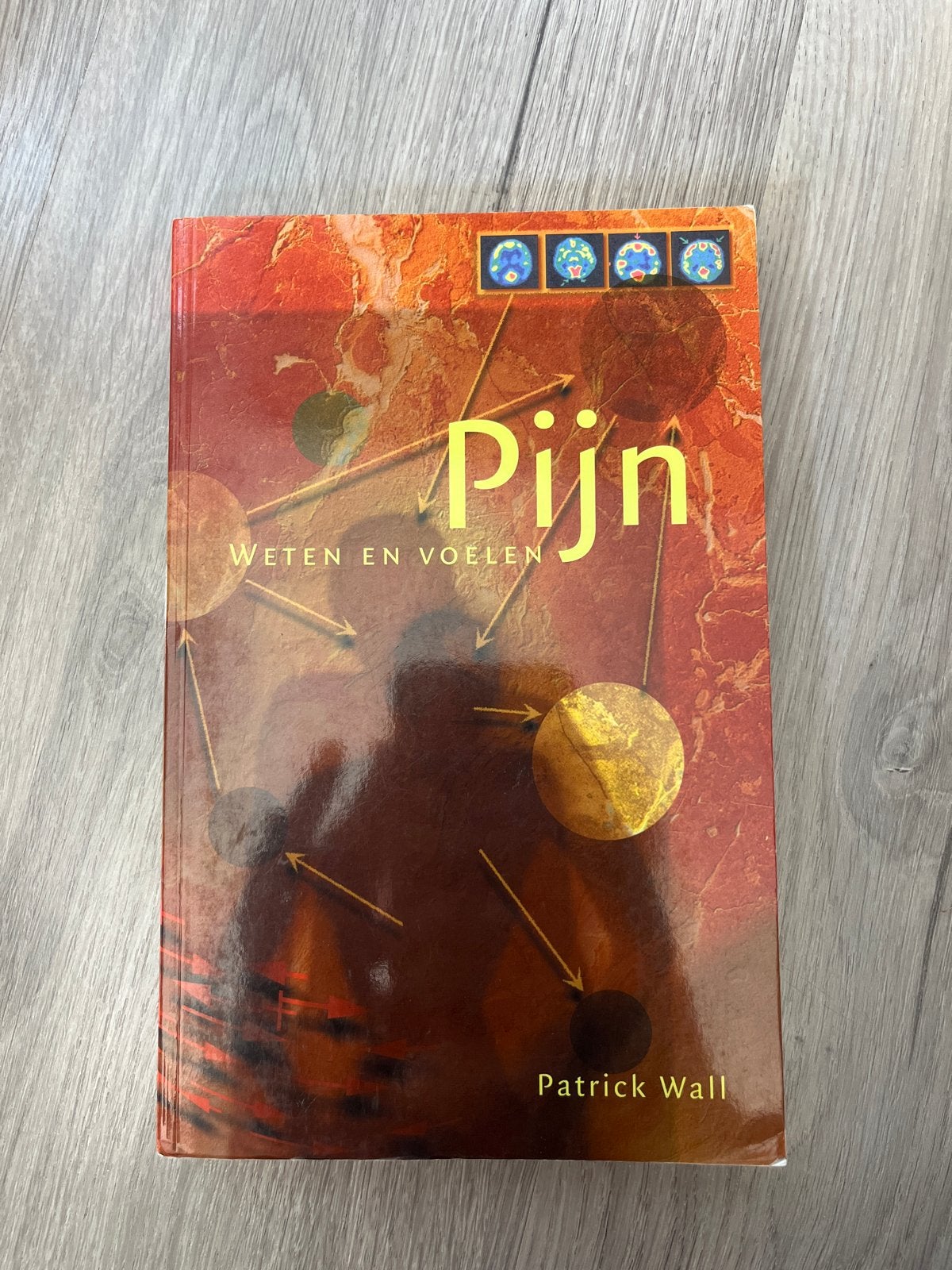 Pijn: Weten en Voelen - Patrick Wall (Gezondheid), Ophalen of Verzenden, Alpha, Zo goed als nieuw, HBO