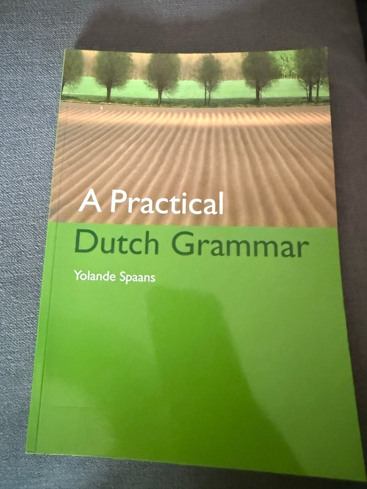 A Practical Dutch Grammar - Yolanda Spaans, Ophalen of Verzenden, Zo goed als nieuw, Non-fictie