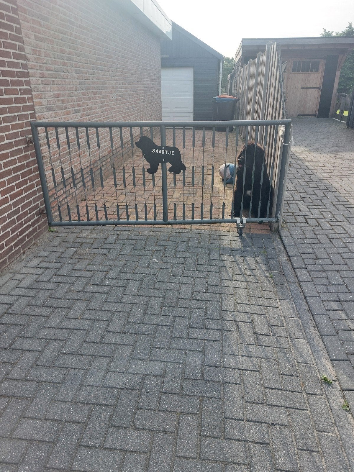 Hekwerk 241x114 cm met paal, kan likje verf gebruiken, Ophalen, Gebruikt, Overige typen