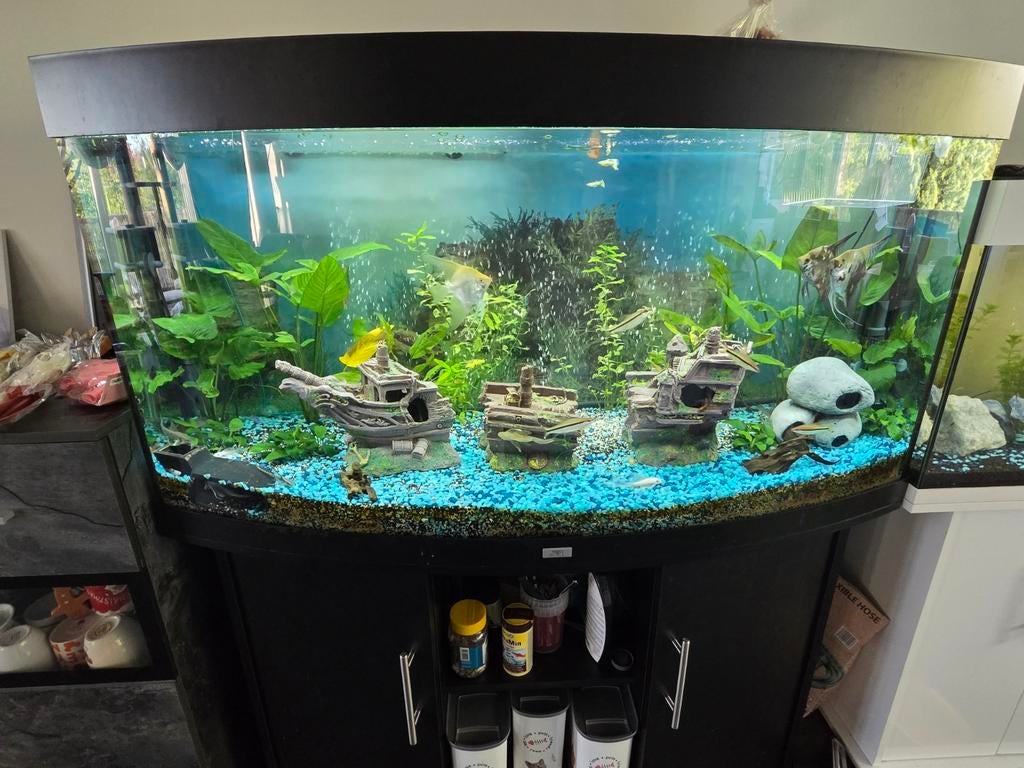 Juwel vision 260, Dieren en Toebehoren, Vissen | Aquaria en Toebehoren, Ophalen, Leeg aquarium