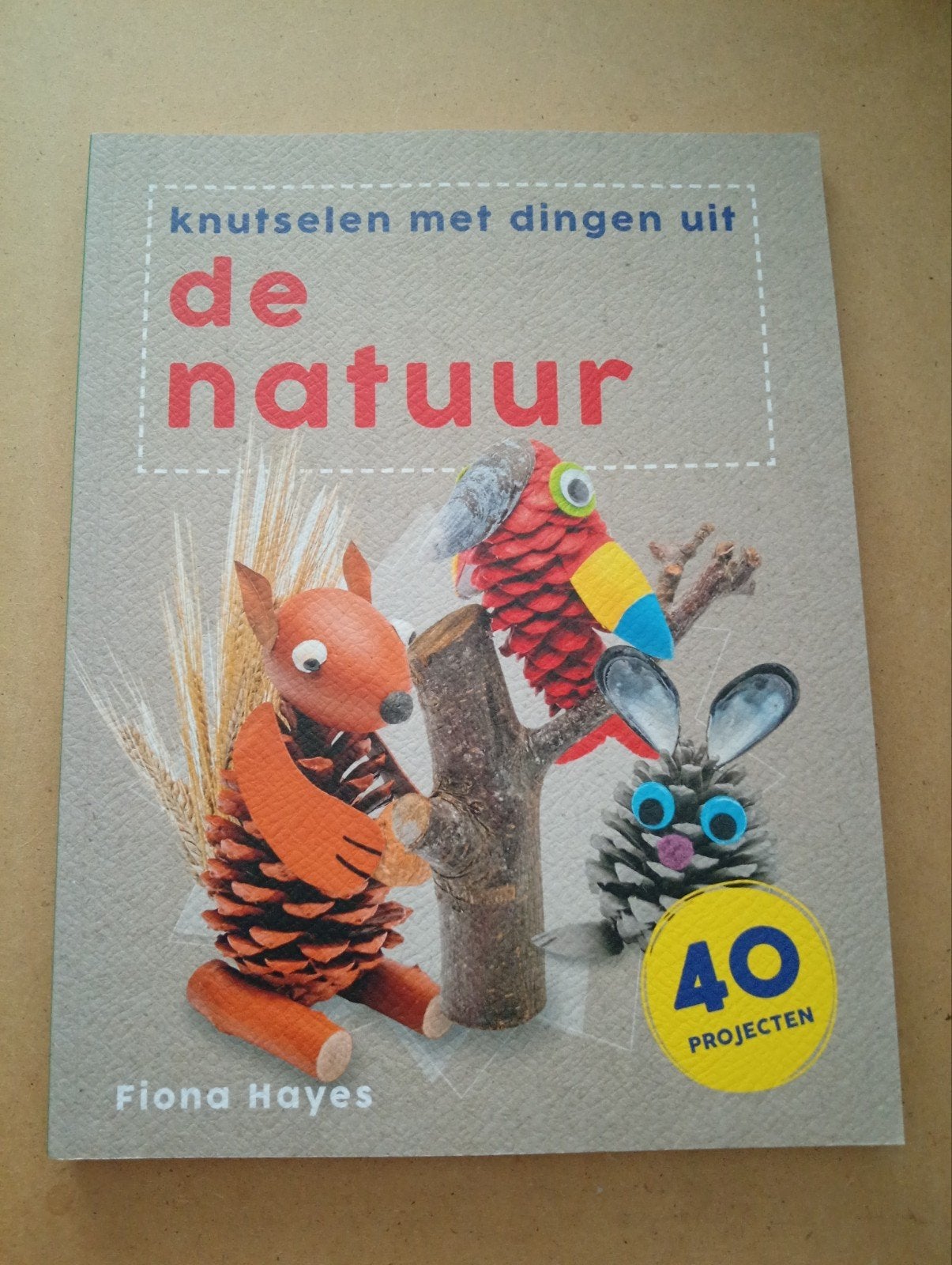 Knutselen met dingen uit de natuur - 40 projecten, Boeken, Fiona Hayes, Ophalen of Verzenden, Zo goed als nieuw, Scrapbooking en Knutselen