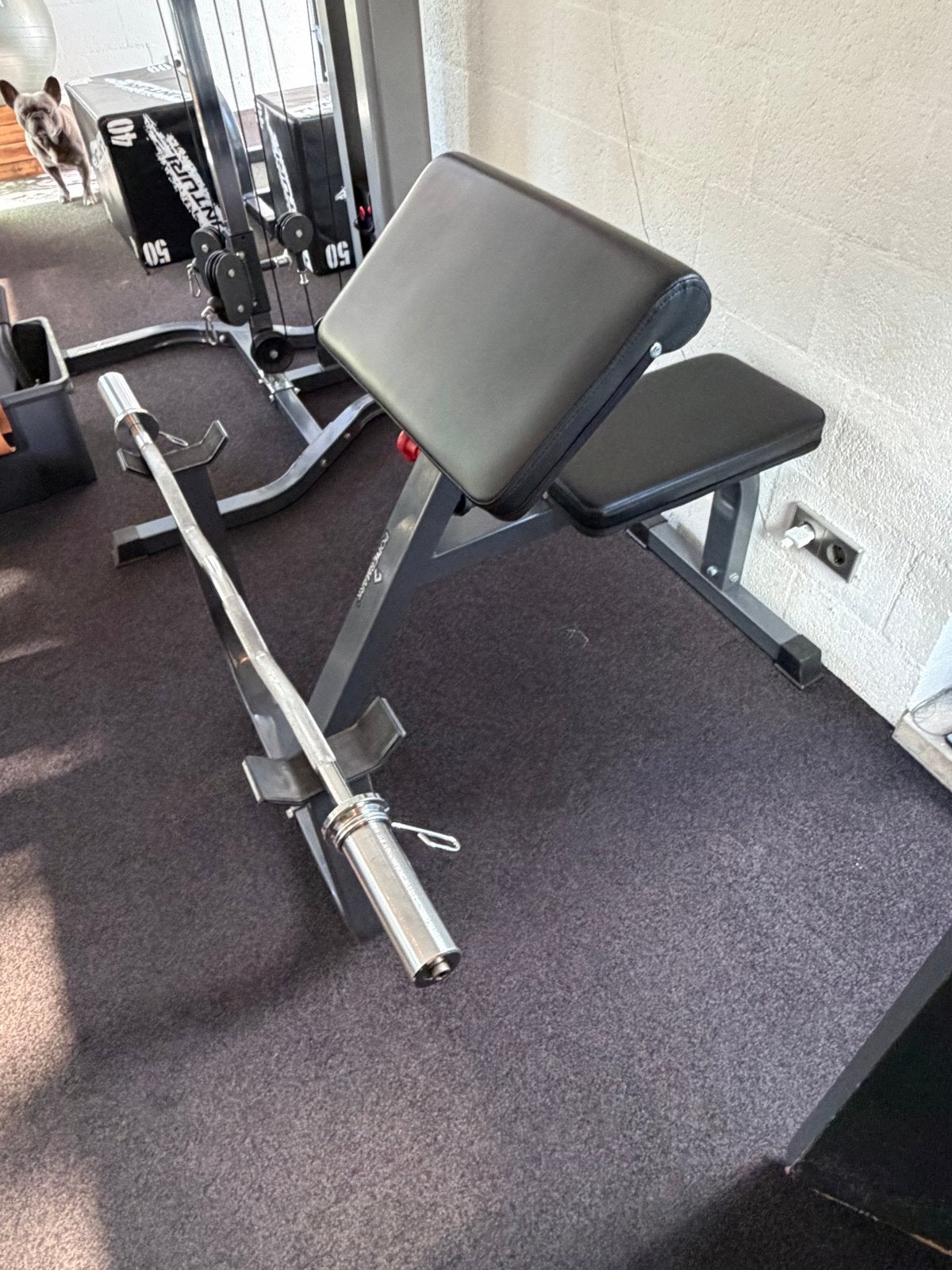 Powermark preacher curl inclusief stang, Sport en Fitness, Ophalen, Gebruikt, Armen, Fitnessbank