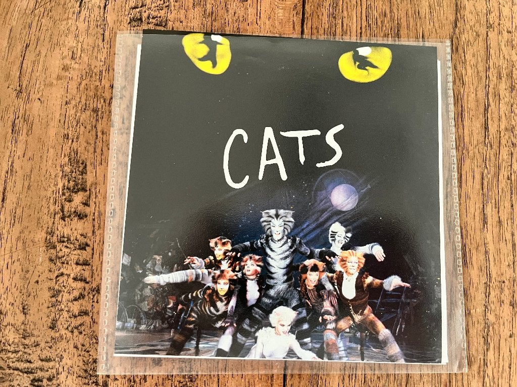 DVD Cats, Alle leeftijden, Ophalen of Verzenden, Zo goed als nieuw