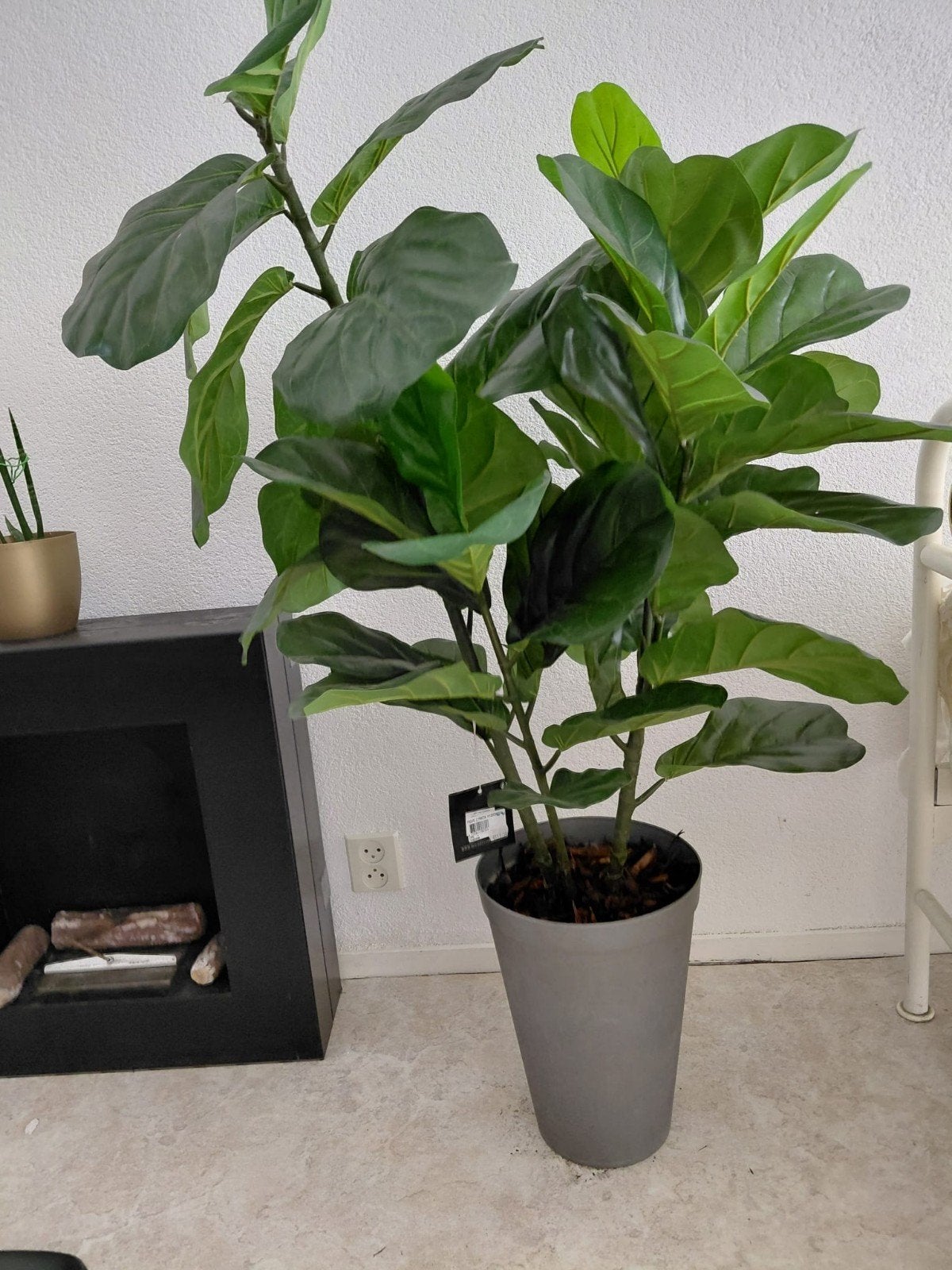 Kunstplant Ficus Lyrata, Ophalen, Binnen, Groen, Kunstplant