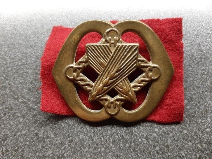 Korps  Verplegingstroepen  -  ouder baret embleem  KL, Ophalen of Verzenden, Landmacht, Nederland, Embleem of Badge