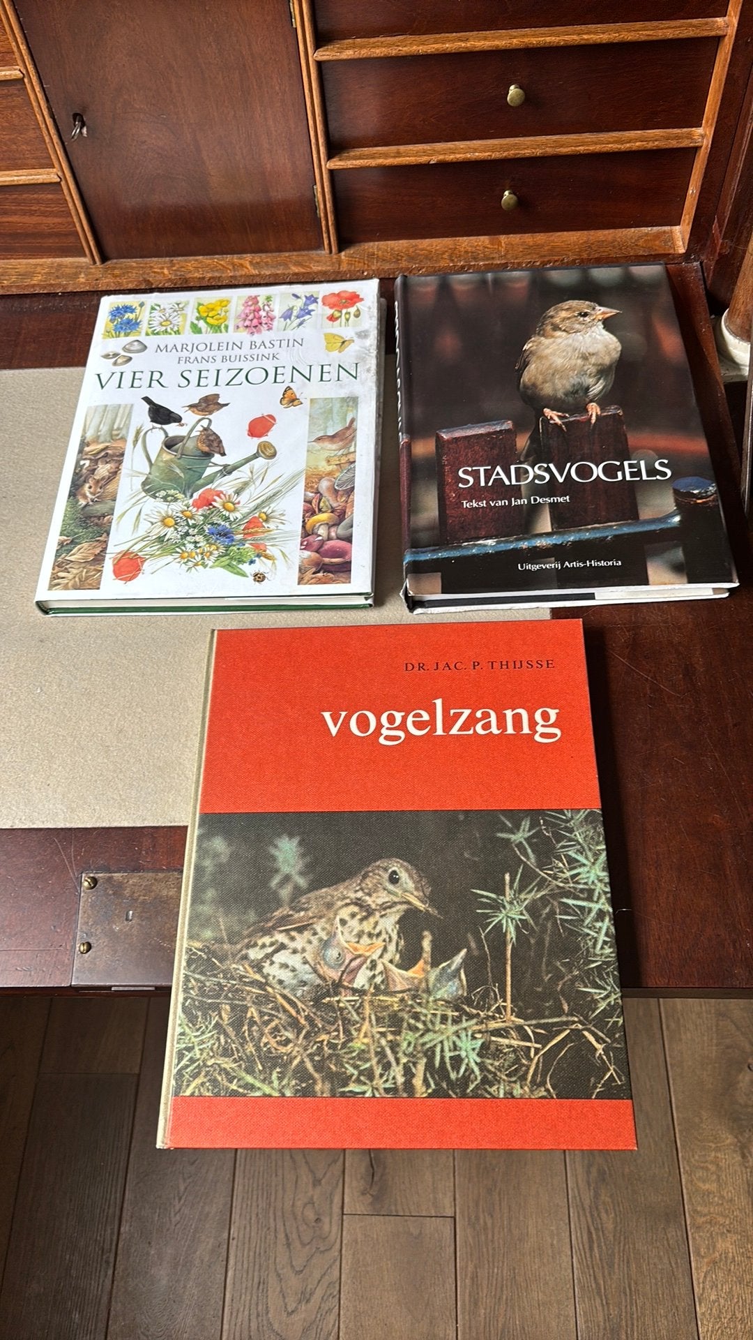 Vogelzang- Stadsvogels- Vier Seizoenen, Ophalen of Verzenden, Gelezen, Natuur algemeen