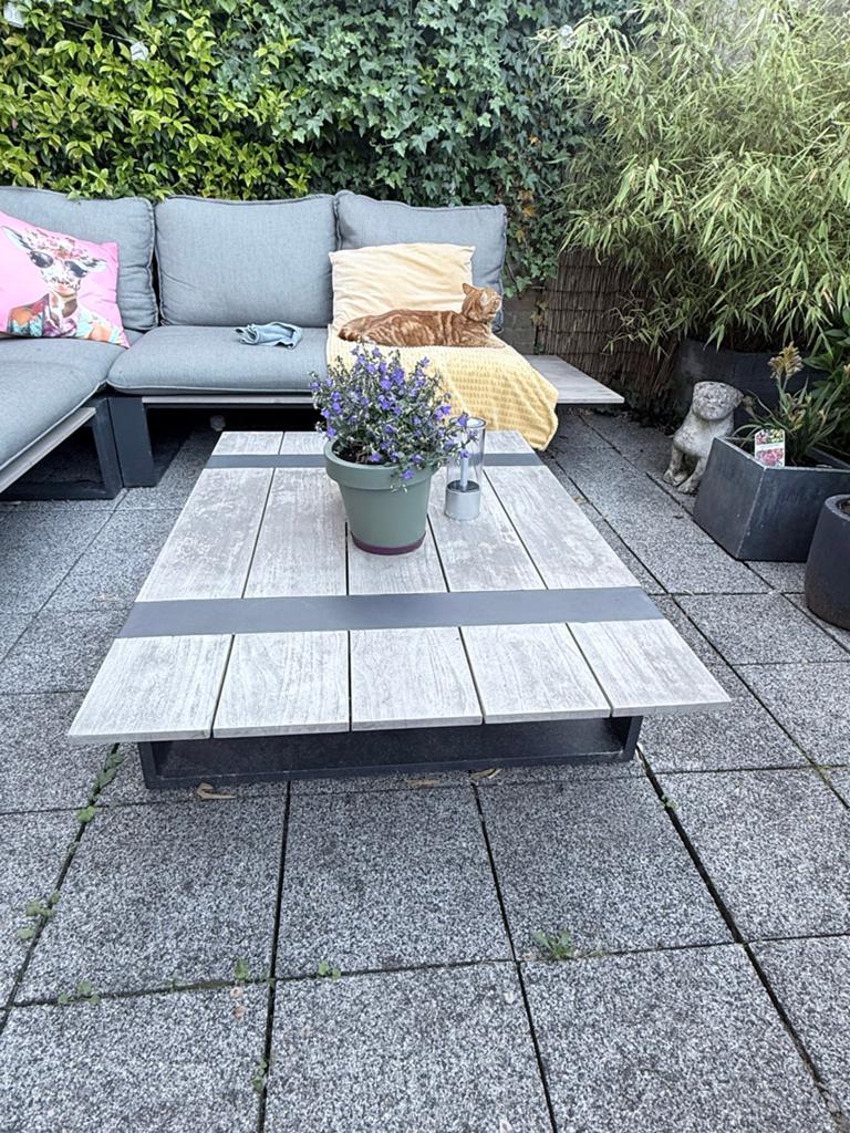 Houten tuintafel met metalen poten - Intratuin 120x80x20, Tuin en Terras, Tuintafels, Ophalen, Gebruikt, Rechthoekig, Hout