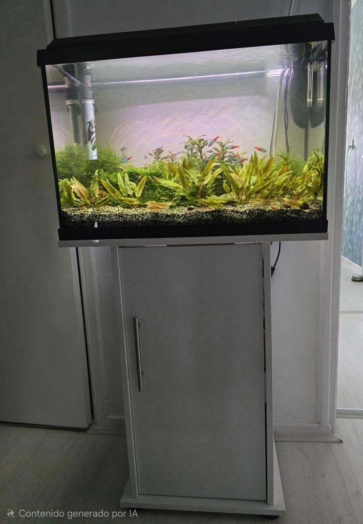 Compleet Aquarium, Ophalen, Zo goed als nieuw, Gevuld zoetwateraquarium
