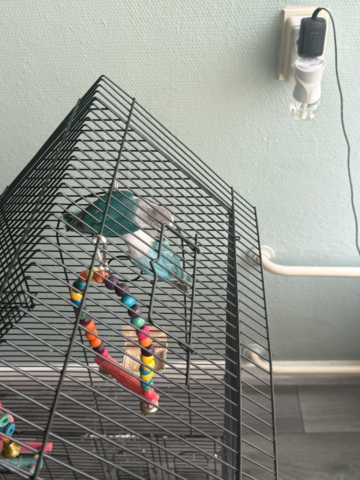 2 vogels met grote kooien, Dieren en Toebehoren, Vogels | Hokken en Kooien, Ophalen of Verzenden