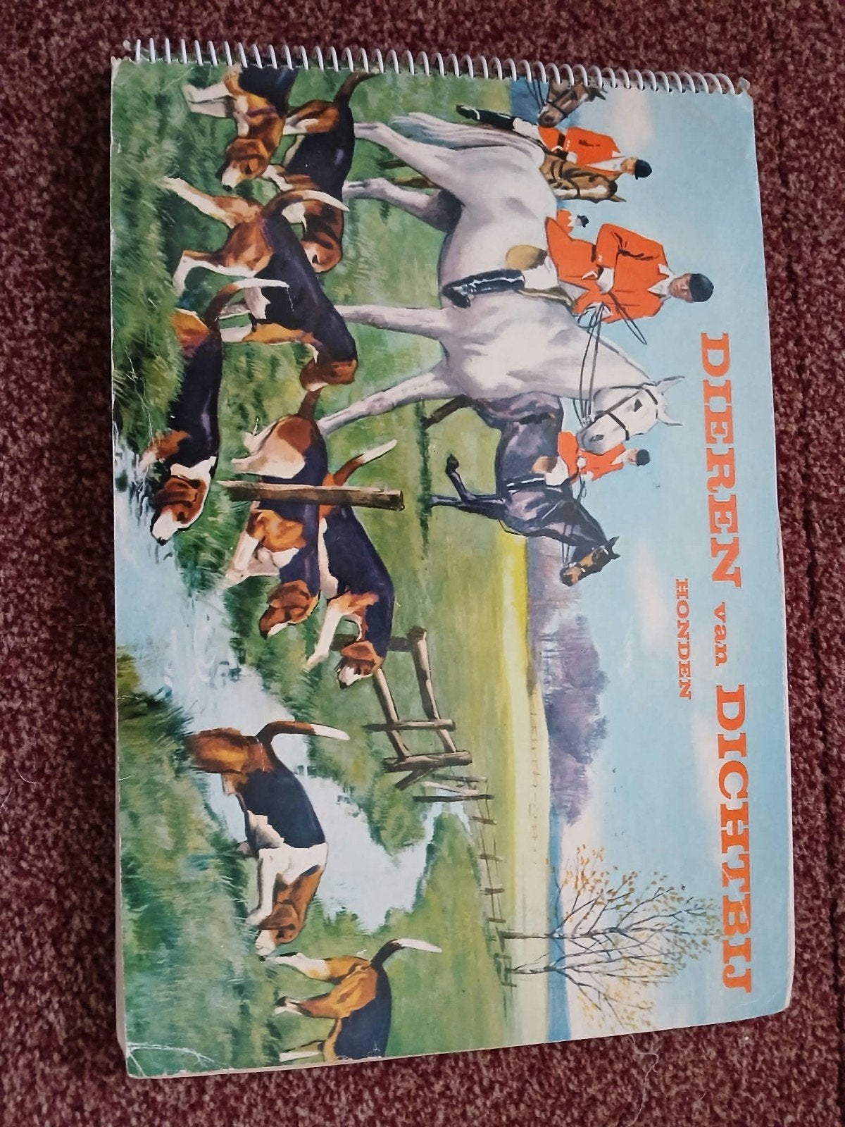 Plaatjesboek Dieren van Dichtbij - Honden (Compleet), Ophalen of Verzenden