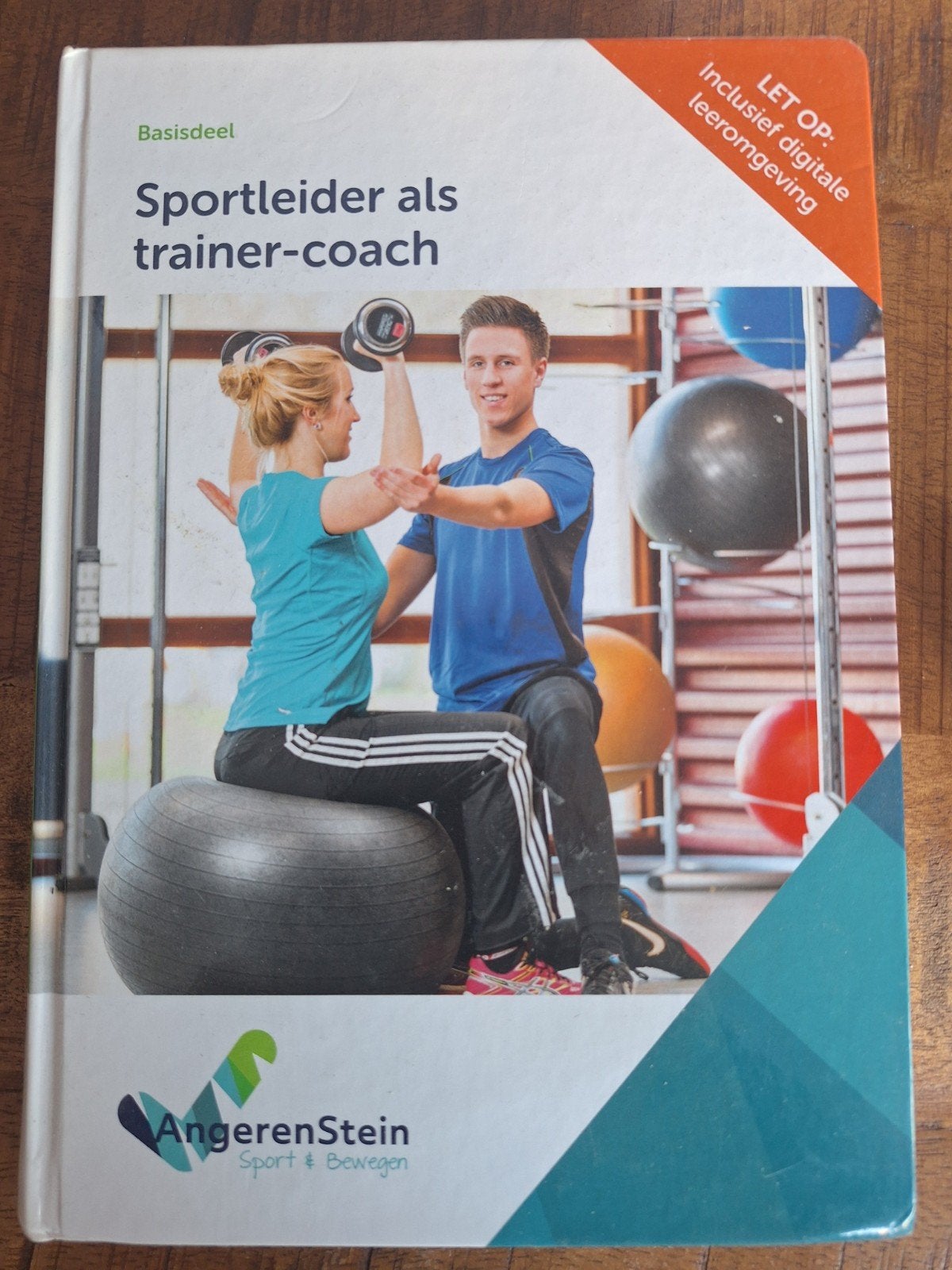 Sportleider als trainer-coach - Angerenstein Sport & Bewegen, Ophalen of Verzenden, Zo goed als nieuw, MBO, Gamma