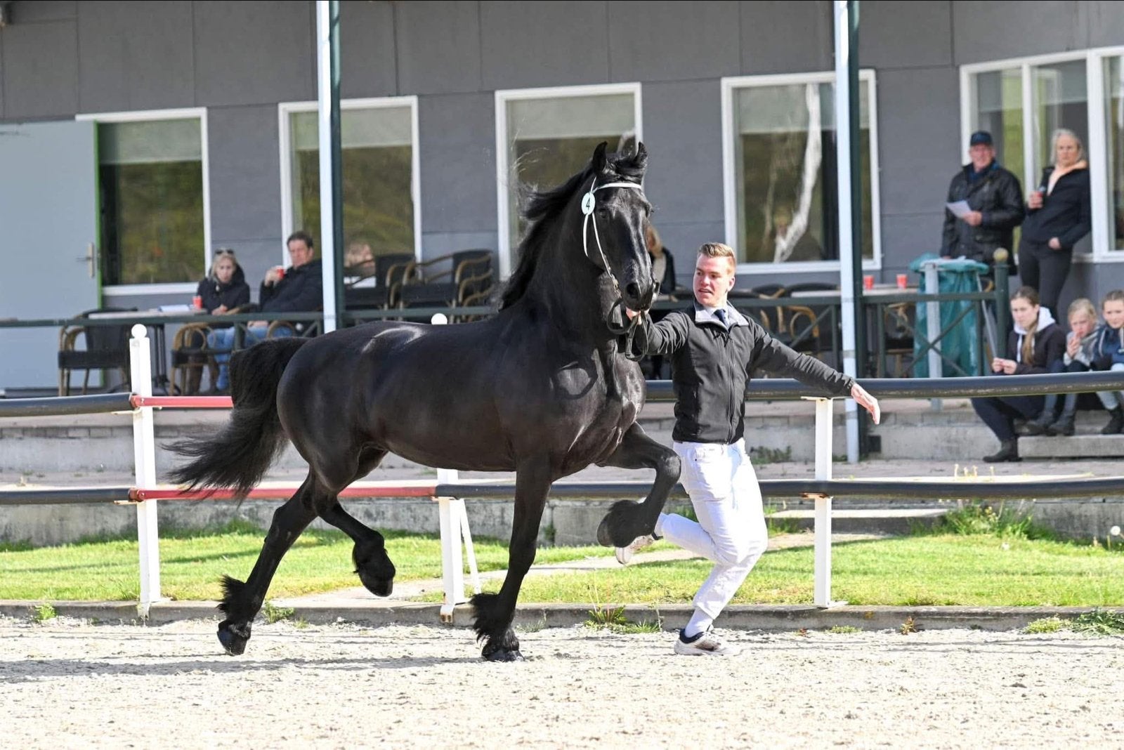 Kwaliteitsvolle 2 premie stermerrie met veulen aangeboden, Merrie, Dressuurpaard, 3 tot 6 jaar