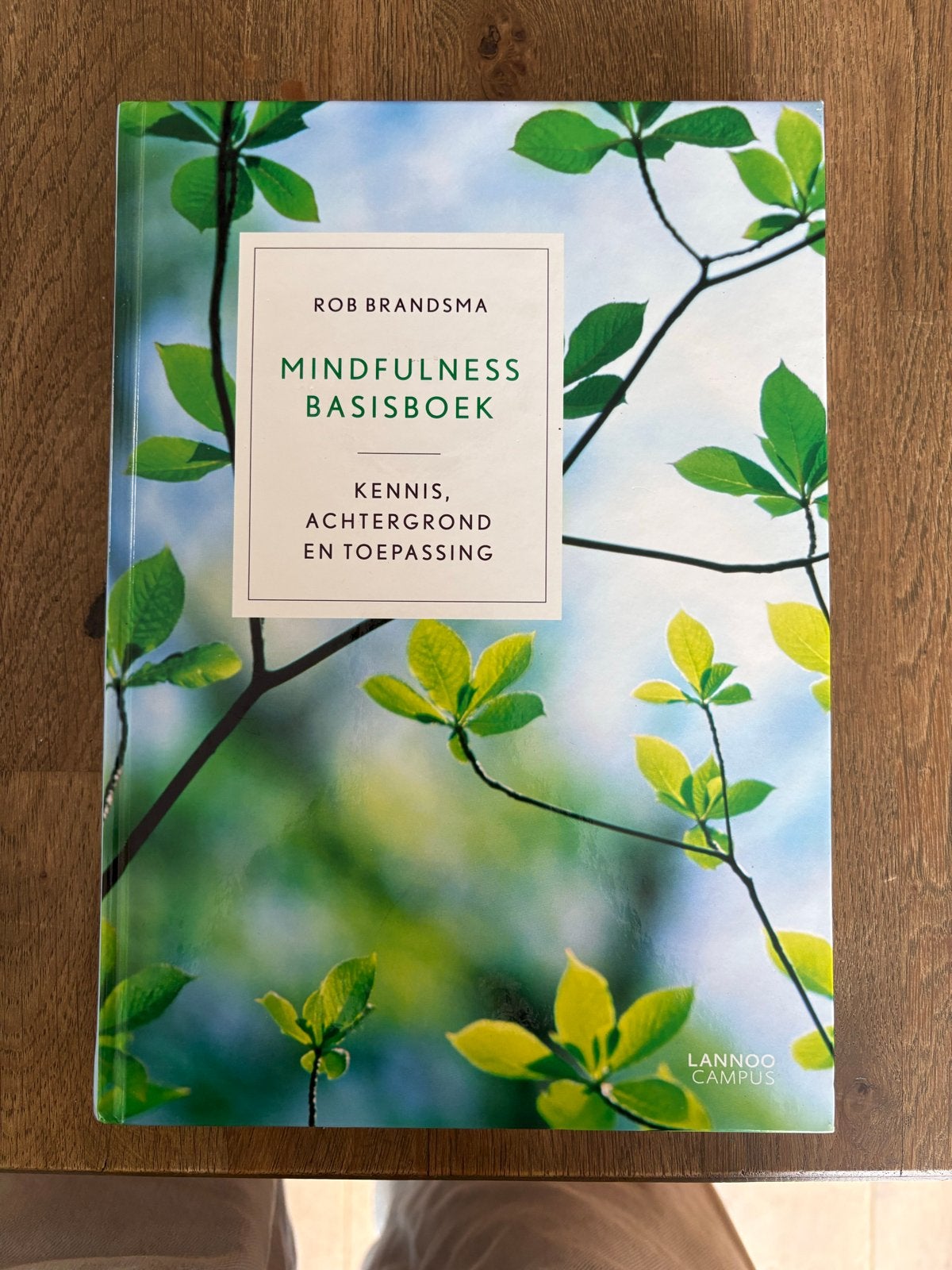 Mindfulness Basisboek - Rob Brandsma nieuw, Ophalen of Verzenden, Nieuw, Meditatie of Yoga, Achtergrond en Informatie