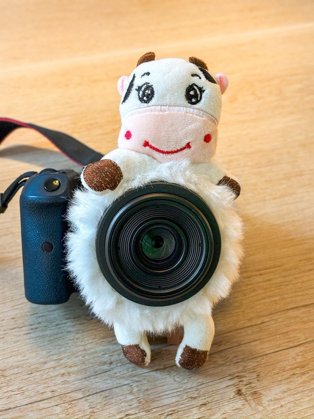 Lens buddy - shutter hugger - camera - lens hugger, Audio, Tv en Foto, Ophalen of Verzenden, Nieuw, Overige typen