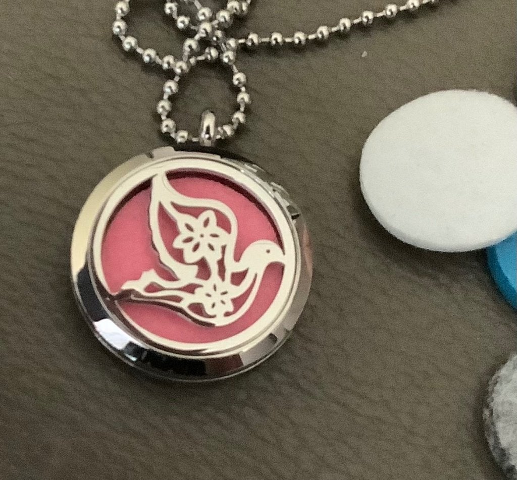 Mooie hanger met ketting, vredesduif nieuw, Ophalen of Verzenden, Nieuw, Zilver, Overige materialen