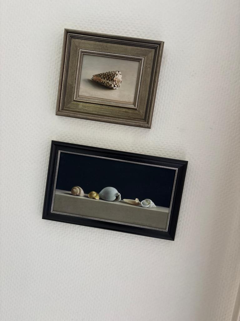 2x Henk Helmantel Giclée - Schelpen Stilleven, Ophalen of Verzenden