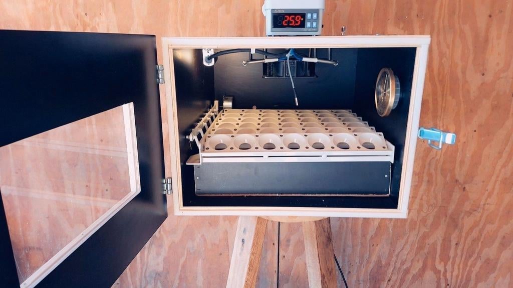 Broedmachine, Dieren en Toebehoren, Pluimvee | Toebehoren, Ophalen of Verzenden, Nieuw, Broedmachine