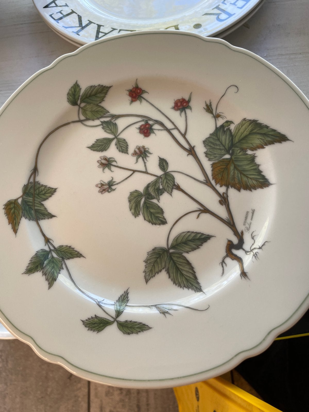Seltmann weiden bavaria waldbeere borden 6 stuks, Klassiek, Villeroy & Boch, Ophalen of Verzenden, Zo goed als nieuw
