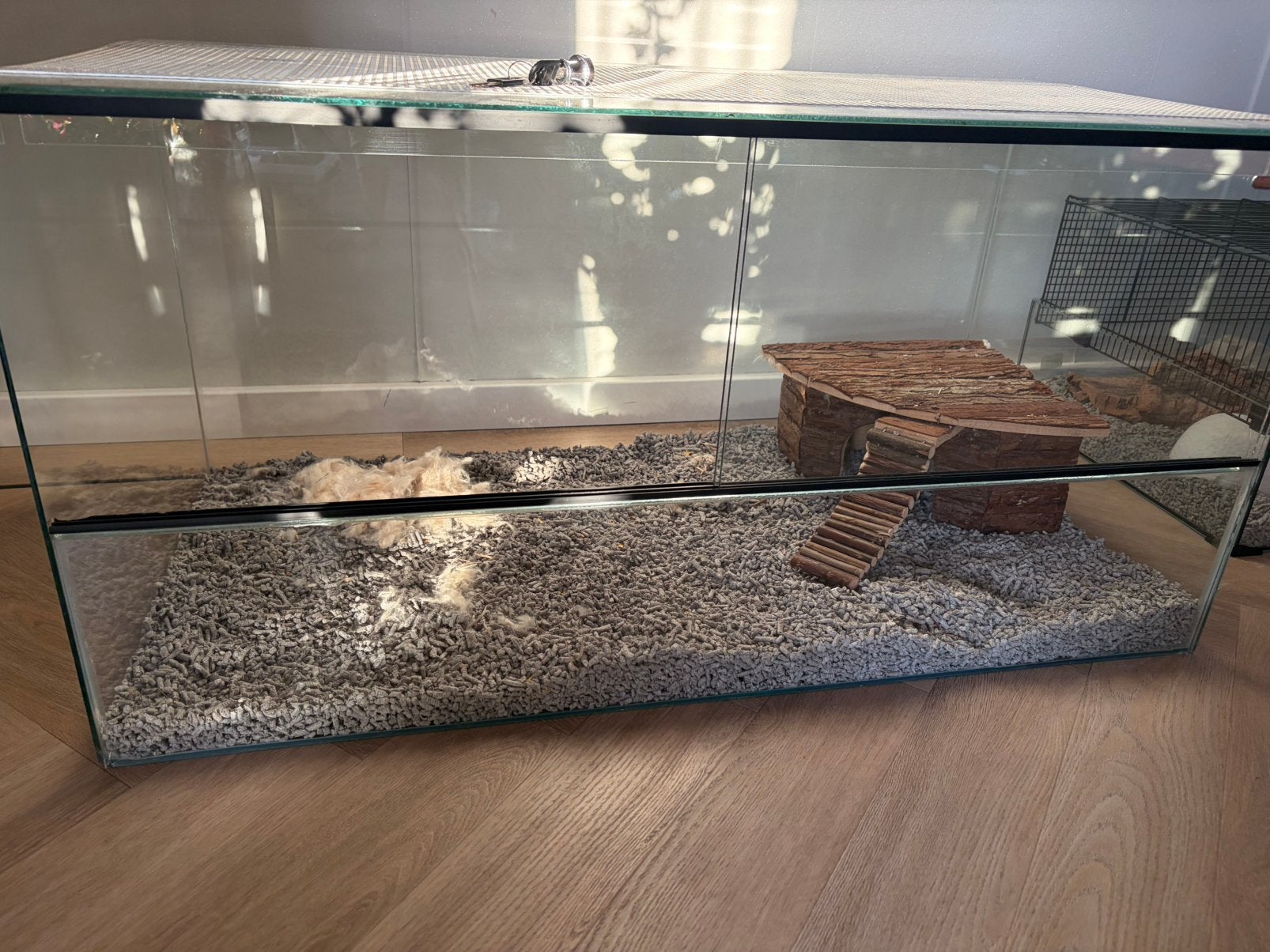 Prachtig groot hok voor allerlei dieren., Ophalen, Zo goed als nieuw, Hok, Minder dan 60 cm
