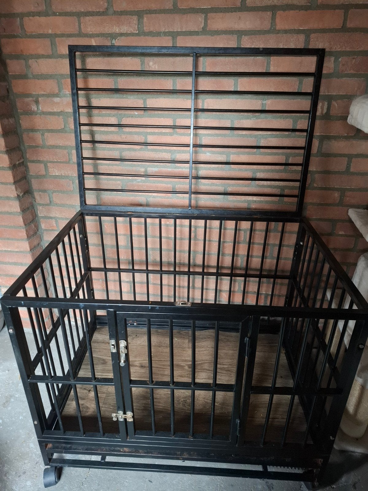 leuke honden benzen, Ophalen of Verzenden