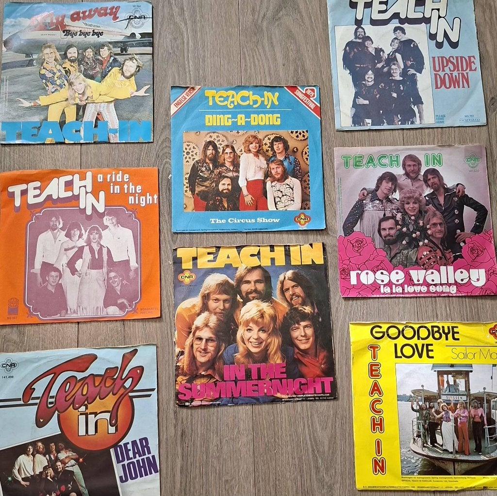 Teach in, Ophalen of Verzenden, Zo goed als nieuw, Nederlandstalig