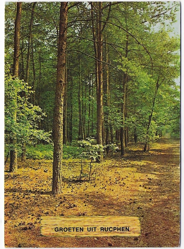 Rucphen gelopen Ansichtkaart ( B2619 ), Ophalen of Verzenden, 1980 tot heden, Gelopen