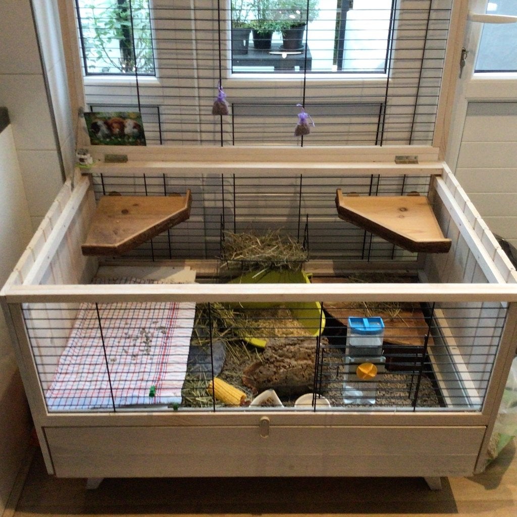 Mooi cavia/konijnenhok, Ophalen, Gebruikt, 60 tot 90 cm, Hok