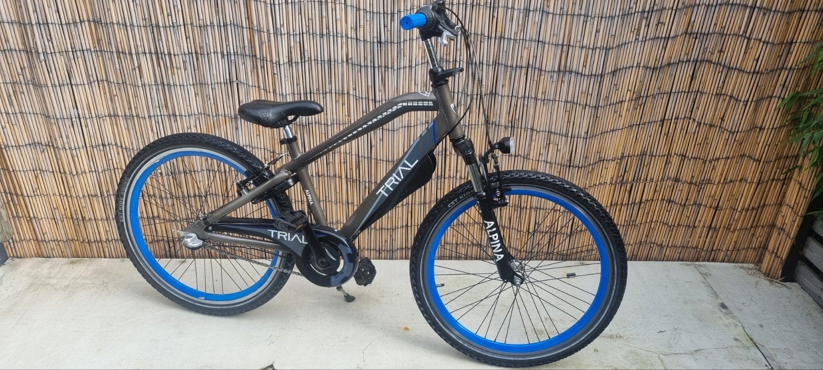 Jongensfiets 24 inch Alpina Trial, Ophalen, Terugtraprem, 24 inch, Zo goed als nieuw