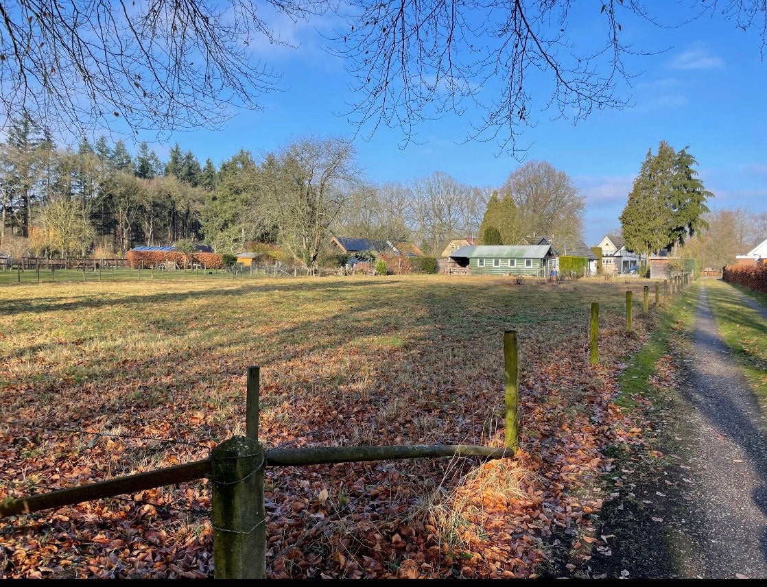 Wei met stal voor kindvriendelijke pony’s, Dieren en Toebehoren