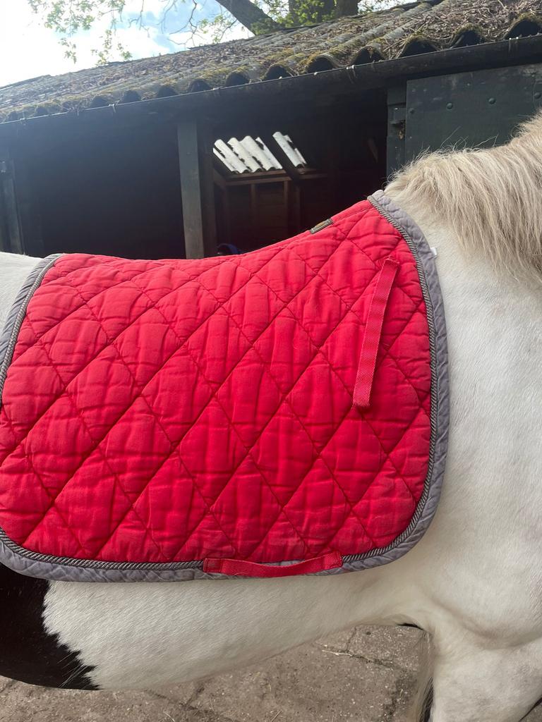 Rood br dekje, Dieren en Toebehoren, Paarden en Pony's | Dekens en Dekjes, Full (L), BR, Rood, Ophalen of Verzenden