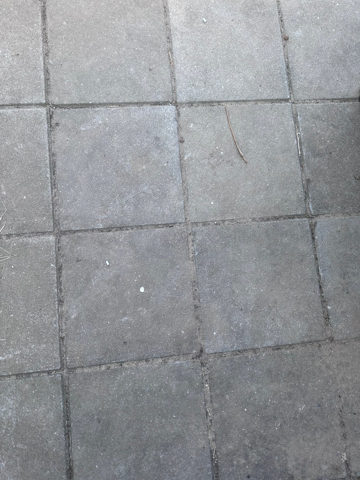 Gratis betontegels 30x30, Tuin en Terras, Tegels en Klinkers, Ophalen, Gebruikt, Beton, Terrastegels