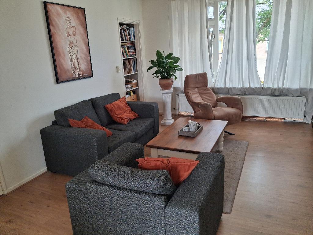 Bank en stoel, Ophalen, 150 tot 200 cm, Tweepersoons, 75 tot 100 cm