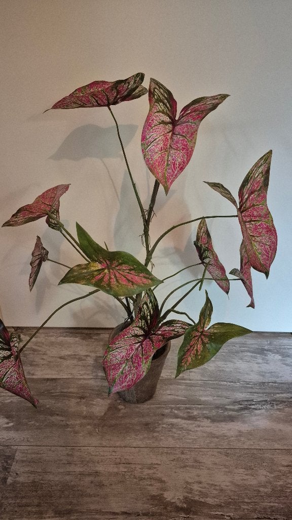 Silk-ka kunstplant, Roze, Silk-ka, Zijde, Ophalen of Verzenden