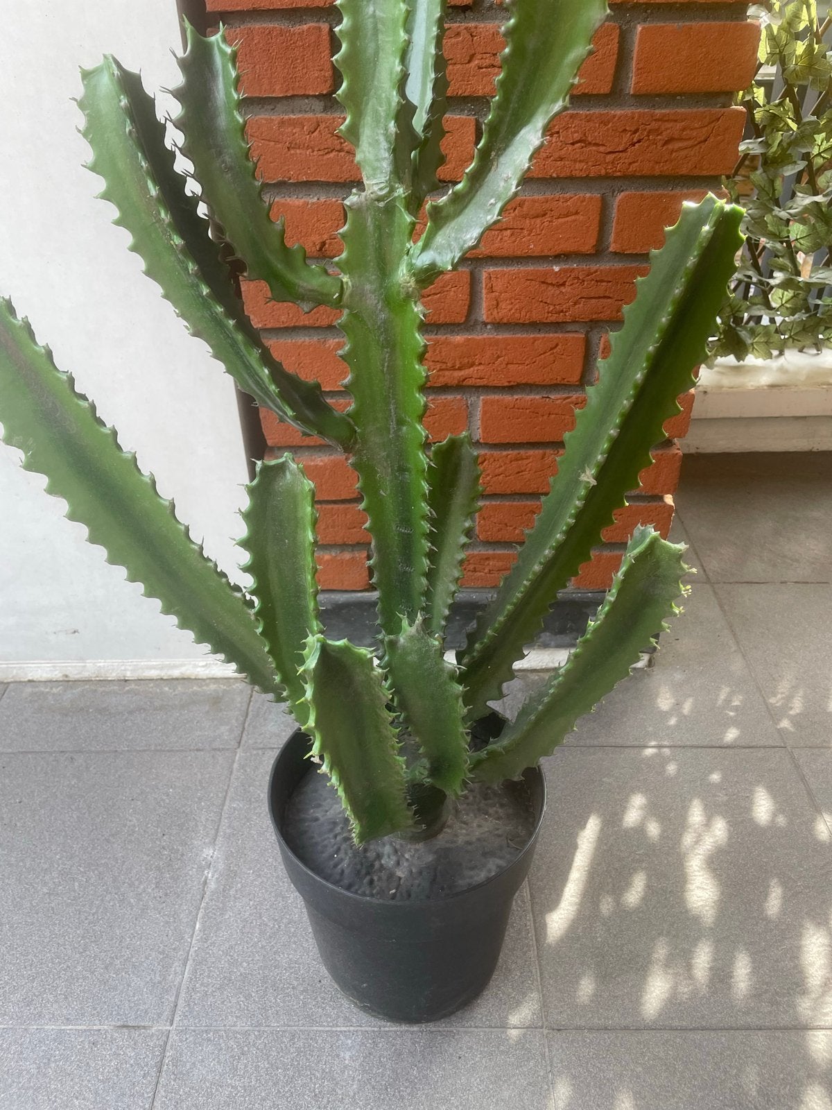 Grote Kunst cactus Plant - 140 cm hoog, Tuin en Terras, Planten | Tuinplanten, Ophalen of Verzenden, Vaste plant, Overige soorten