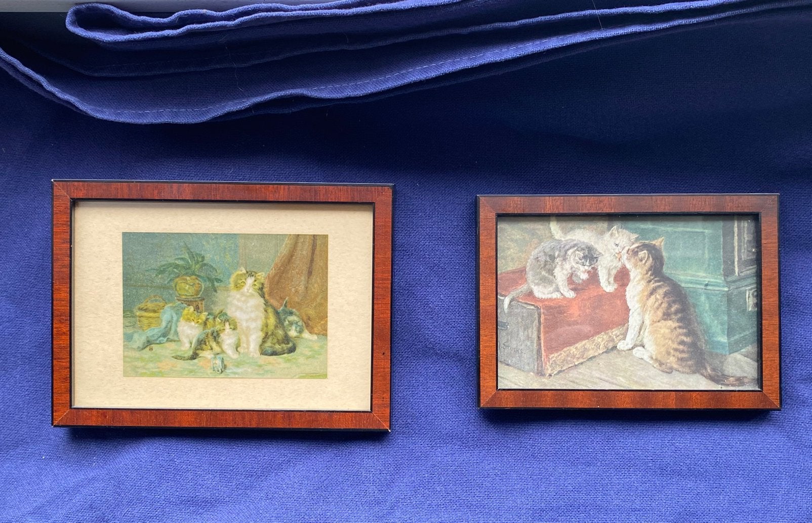 2 prenten. Moederpoes met kittens., Antiek en Kunst, Kunst | Schilderijen | Klassiek, Achter glas, Realistisch, Dieren, Ophalen of Verzenden