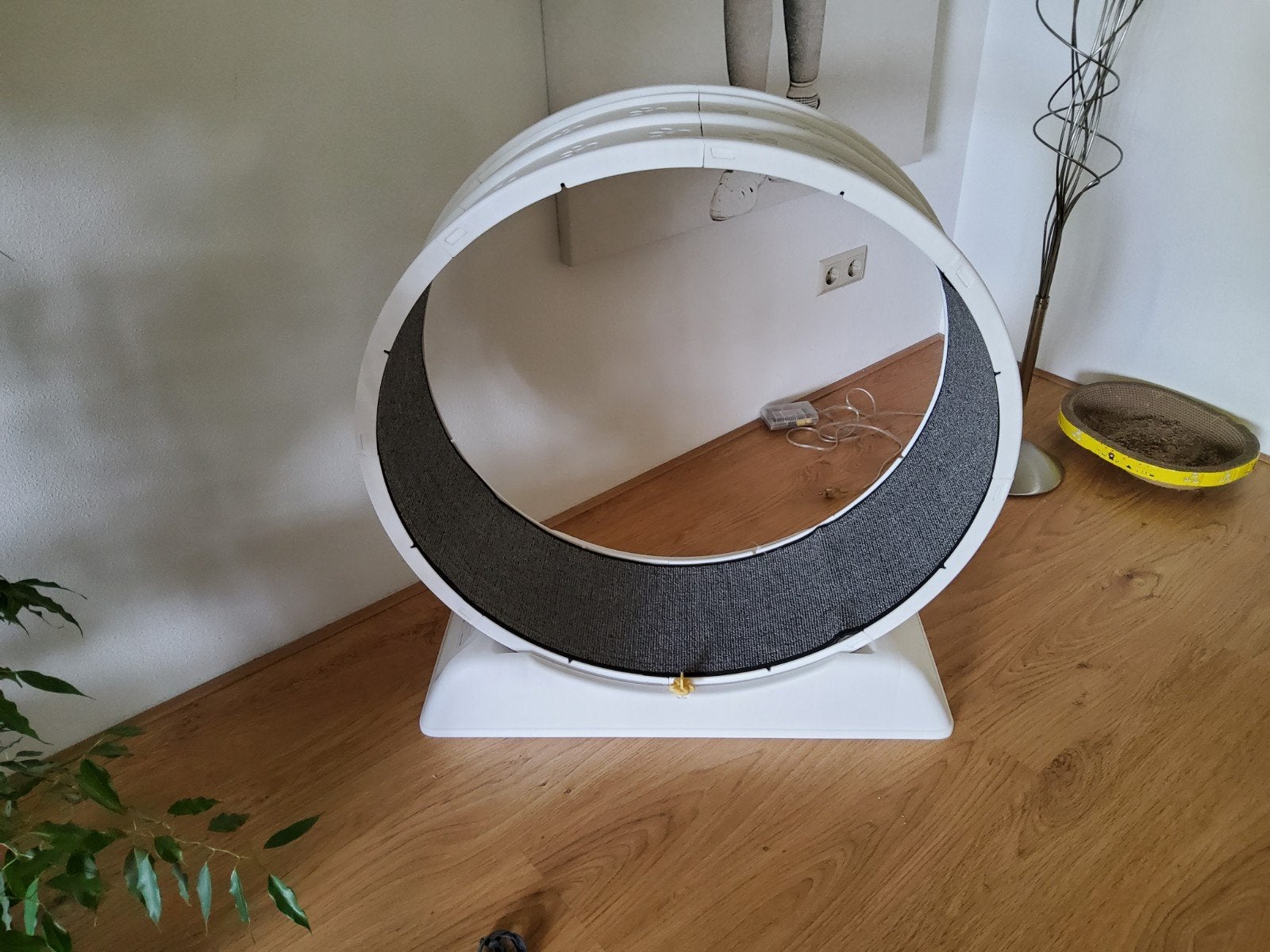 Kattenloopwiel, Ophalen, Nieuw