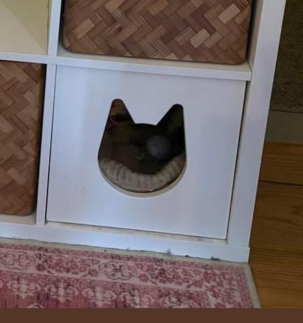 Ikea Kallax kast katteninzet, Ophalen, Gebruikt
