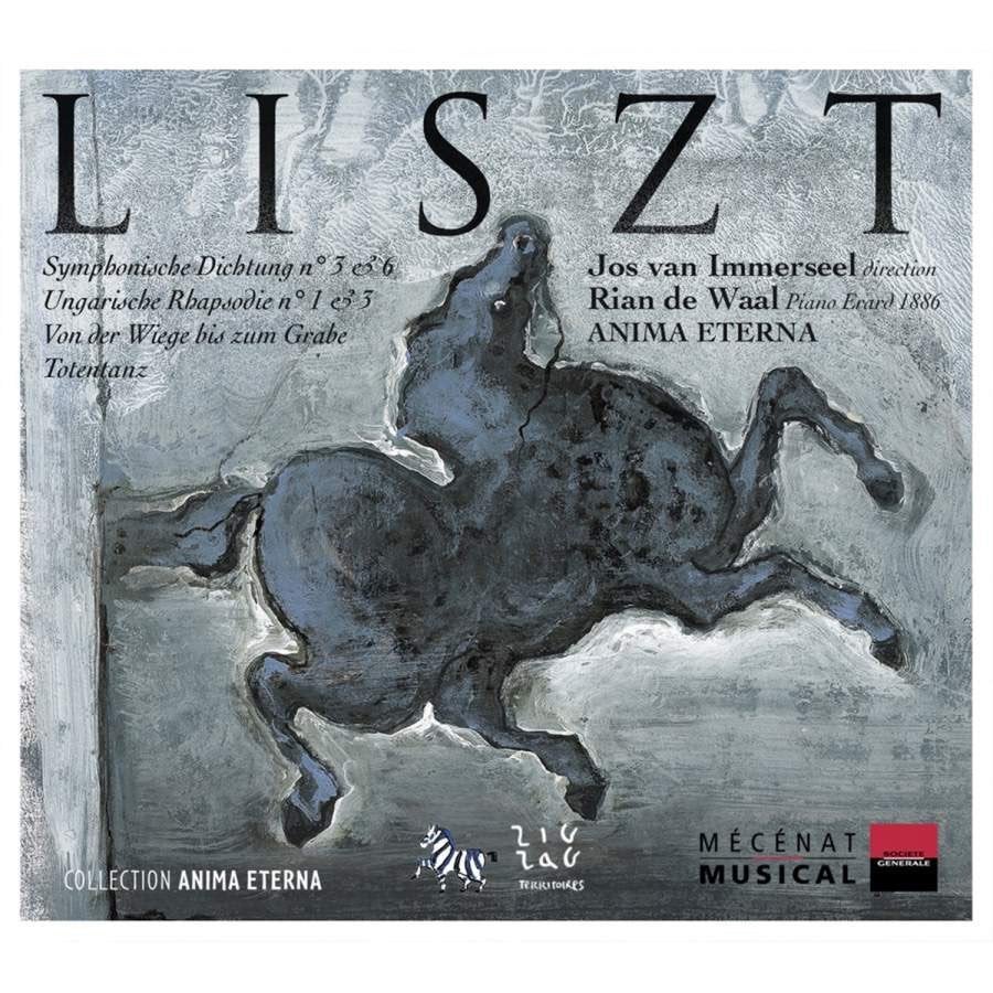 Liszt - Totentanz e.v.a. / Immerseel / Rian de Waal, Verzenden, Romantiek, Zo goed als nieuw, Orkest of Ballet