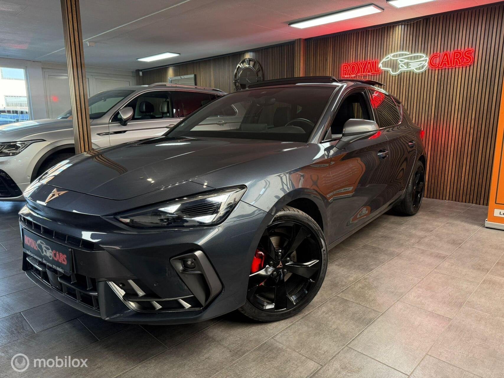 Cupra León