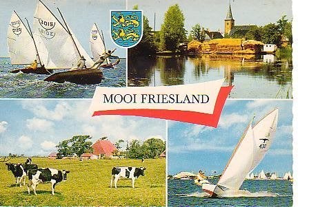 Ansichtkaart 	Friesland	4-luik	Koeien	Zeilen, Verzenden, 1960 tot 1980, Gelopen, Friesland