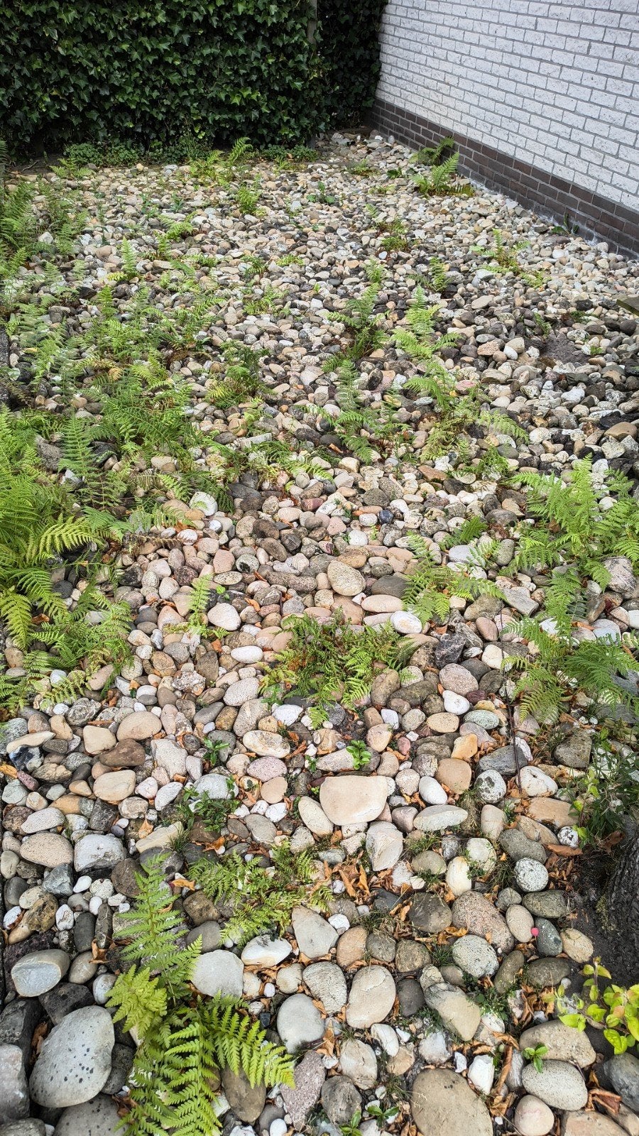 Keien 20 m2, Tuin en Terras, Grind, Keien en Split, Ophalen, Gebruikt, Grijs, Kei