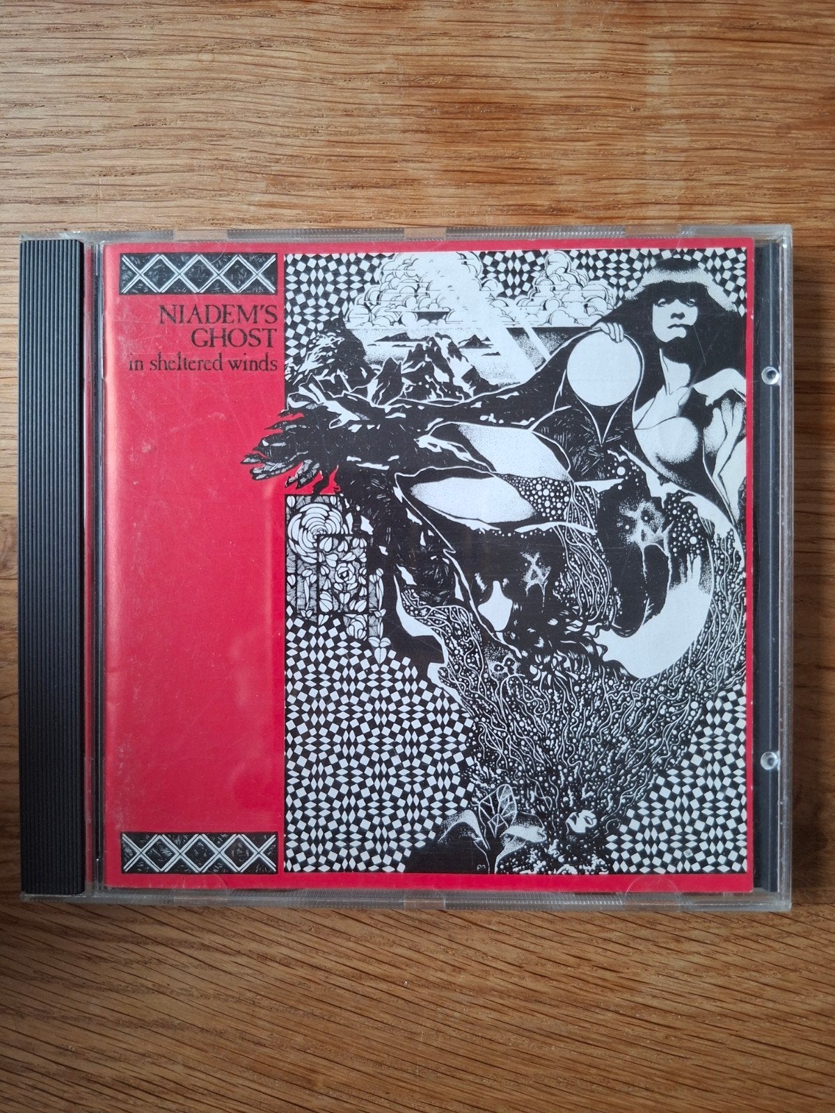 Niadem's Ghost - In Sheltered Winds (cd 1987), Cd's en Dvd's, Ophalen of Verzenden, Gebruikt, Album